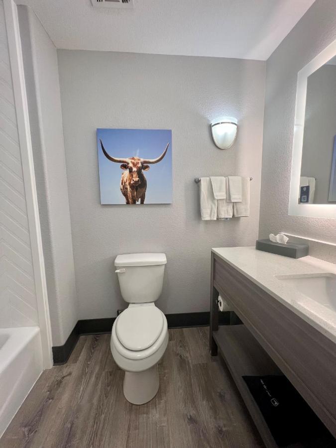 La Quinta By Wyndham Big Spring Hotel Екстериор снимка